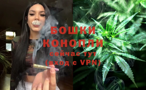 Альфа ПВП Няндома