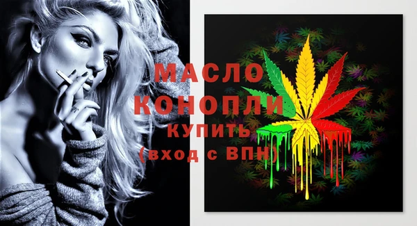 Альфа ПВП Няндома
